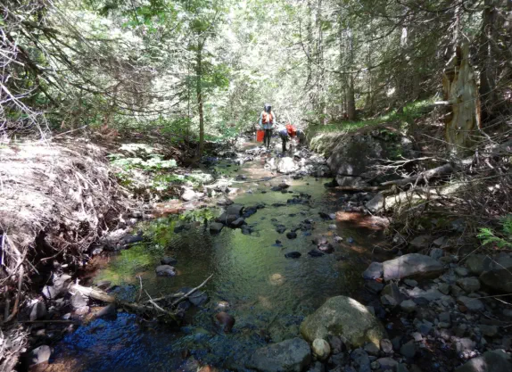 river assessment