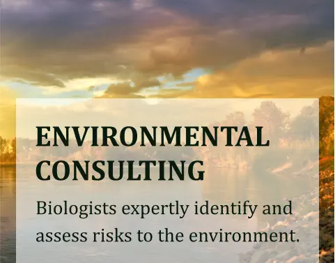 ENVIRONMENTAL CONSULTING Biologists expertly identify and assess risks to the environment.