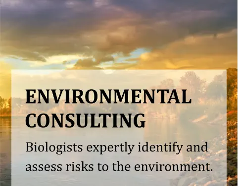 ENVIRONMENTAL CONSULTING Biologists expertly identify and assess risks to the environment.