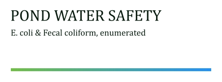 pond water safety