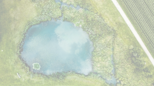 aerial view of pond